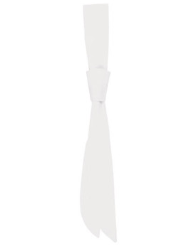Cravatte & Noeuds papillons Personnalisé 215 g/m² - Karlowsky AK 3 - Cravattes & Nœuds papillons Personnalisés avec marquage ...