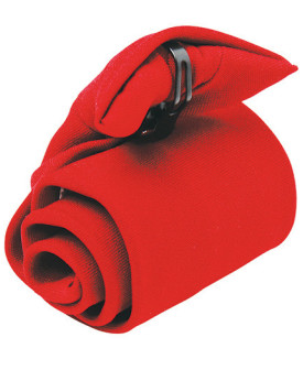 Cravattes & Noeuds papillons Personnalisé       - Premier Workwear PW710 Couleur:Red (ca. Pantone 200C) Taille:One Size